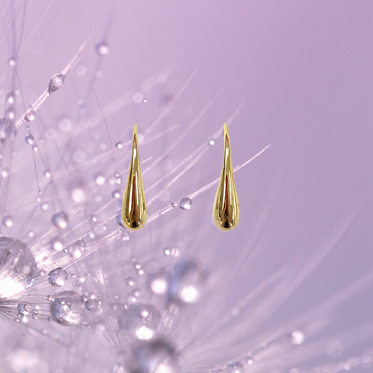 Sleek Water Drop Earrings